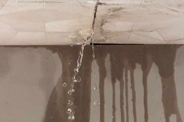 Professional Flood Damage Cleanup technician working in Quincy, WA